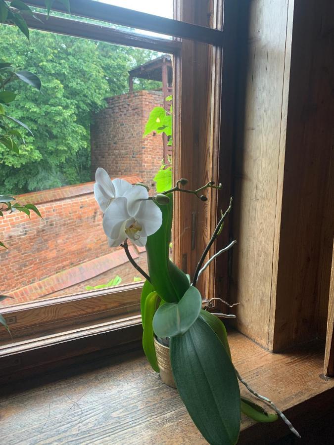 Hotelik Chełmno Esterno foto